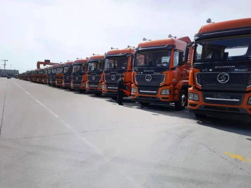 陕汽重卡 价值引领赢市场，品质营销交付忙，助力国内货物运输代理蓬勃发展